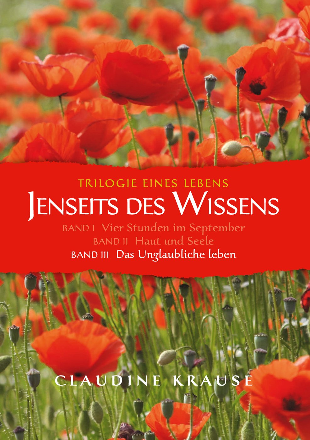 Jenseits des Wissens – Band III