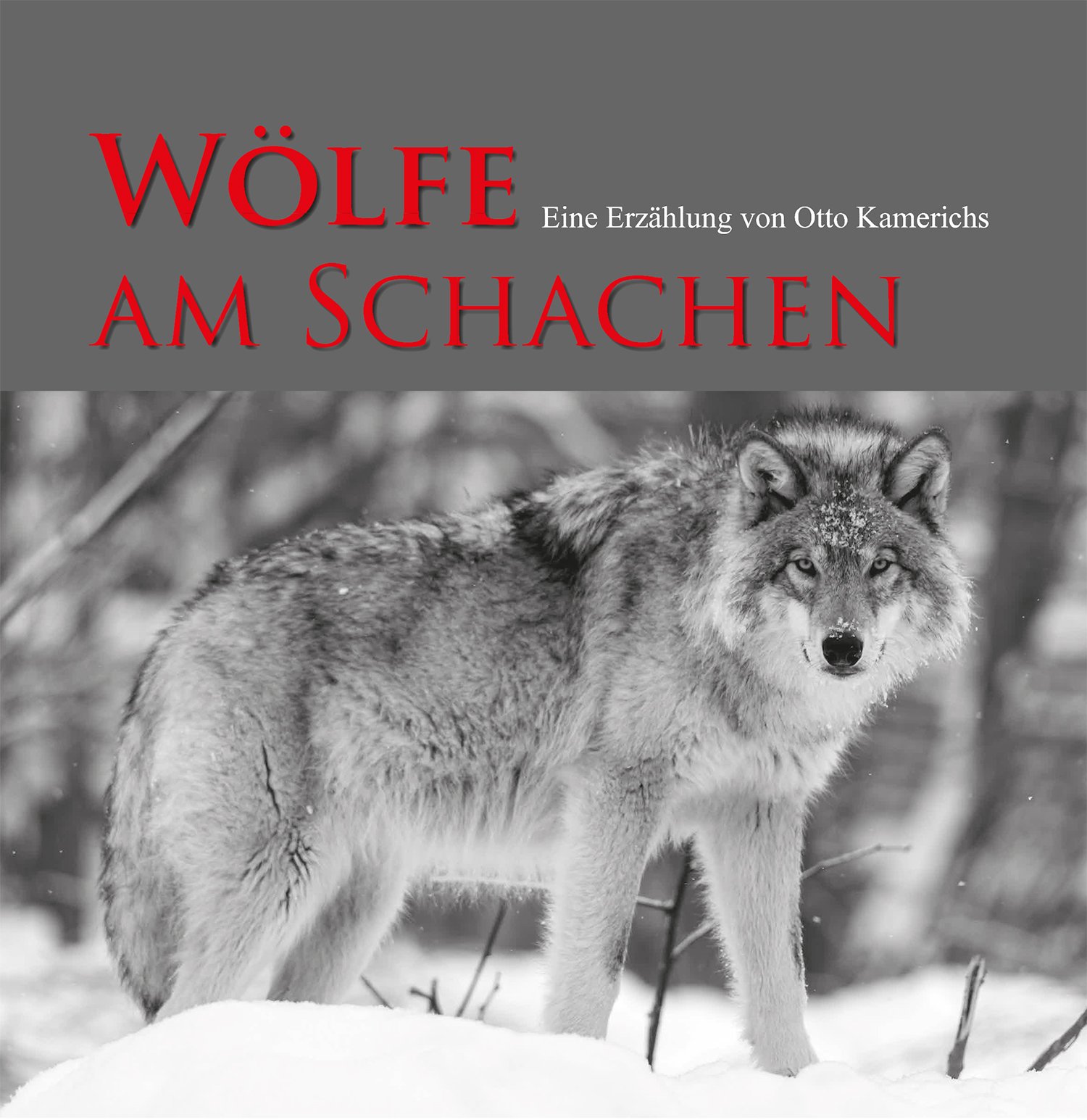 Wölfe am Schachen