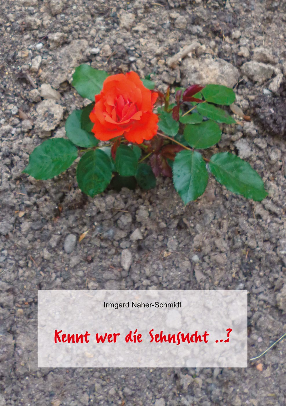 Kennt wer die Sehnsucht …?