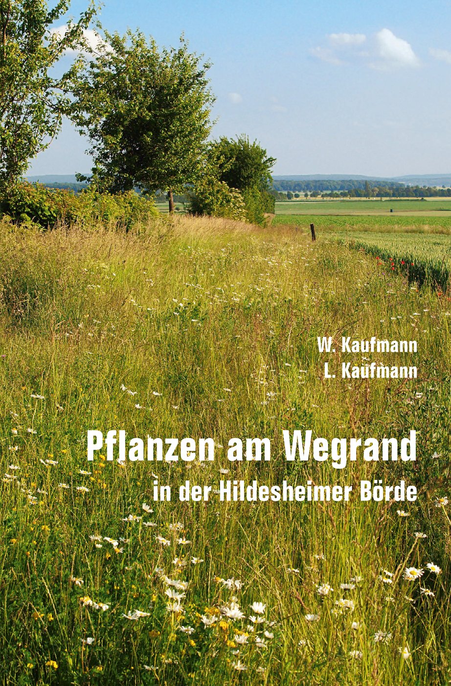 Pflanzen am Wegrand in der Hildesheimer Börde