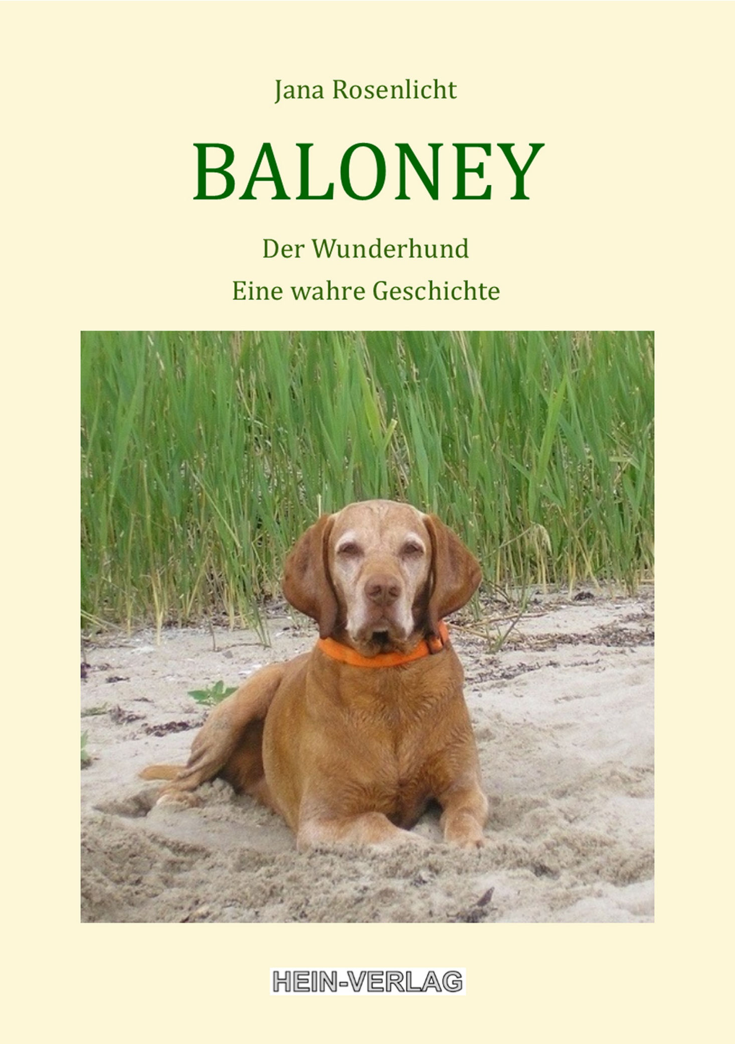 Baloney – Der Wunderhund