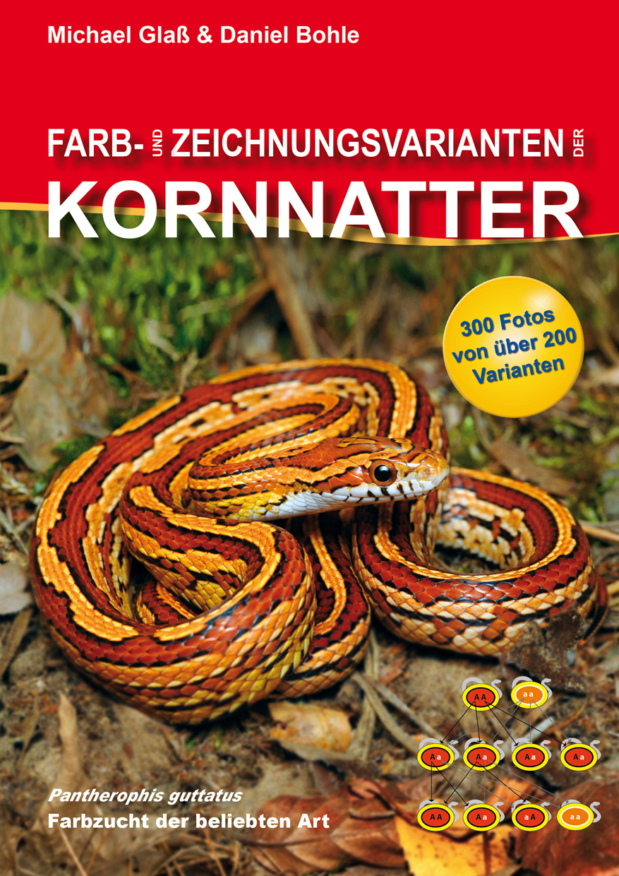 Farb- und Zeichnungsvarianten der Kornnatter