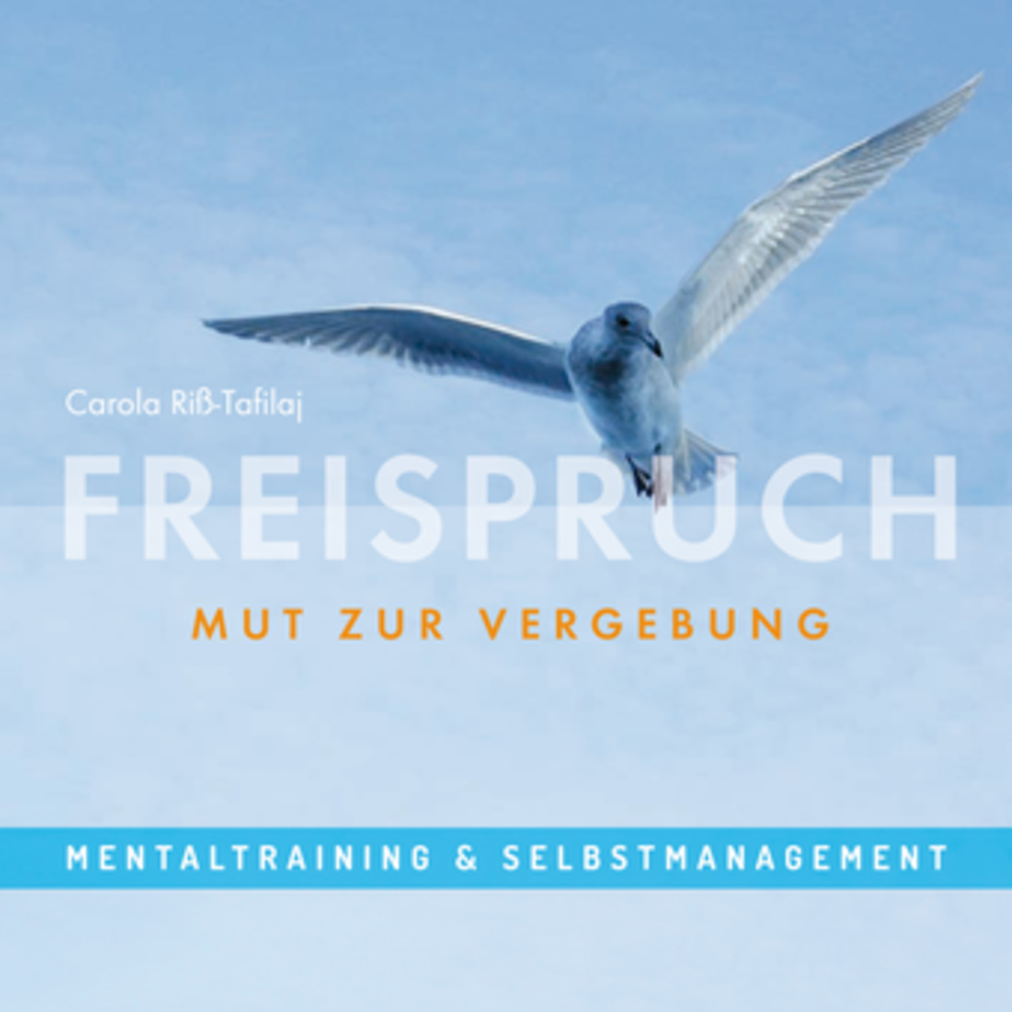 FREISPRUCH – Mut zur Vergebung