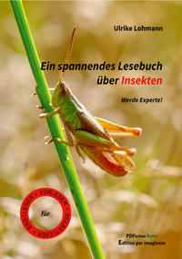 Ein spannendes Lesebuch über Insekten