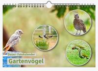 Dauer-Kalender „Gartenvögel“