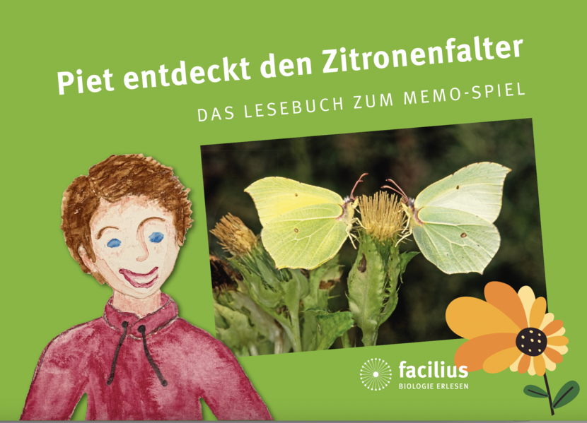 Piet entdeckt den Zitronenfalter